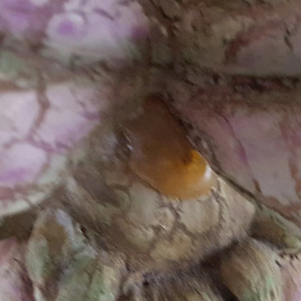Jewelry Holder Fairy Resin Small